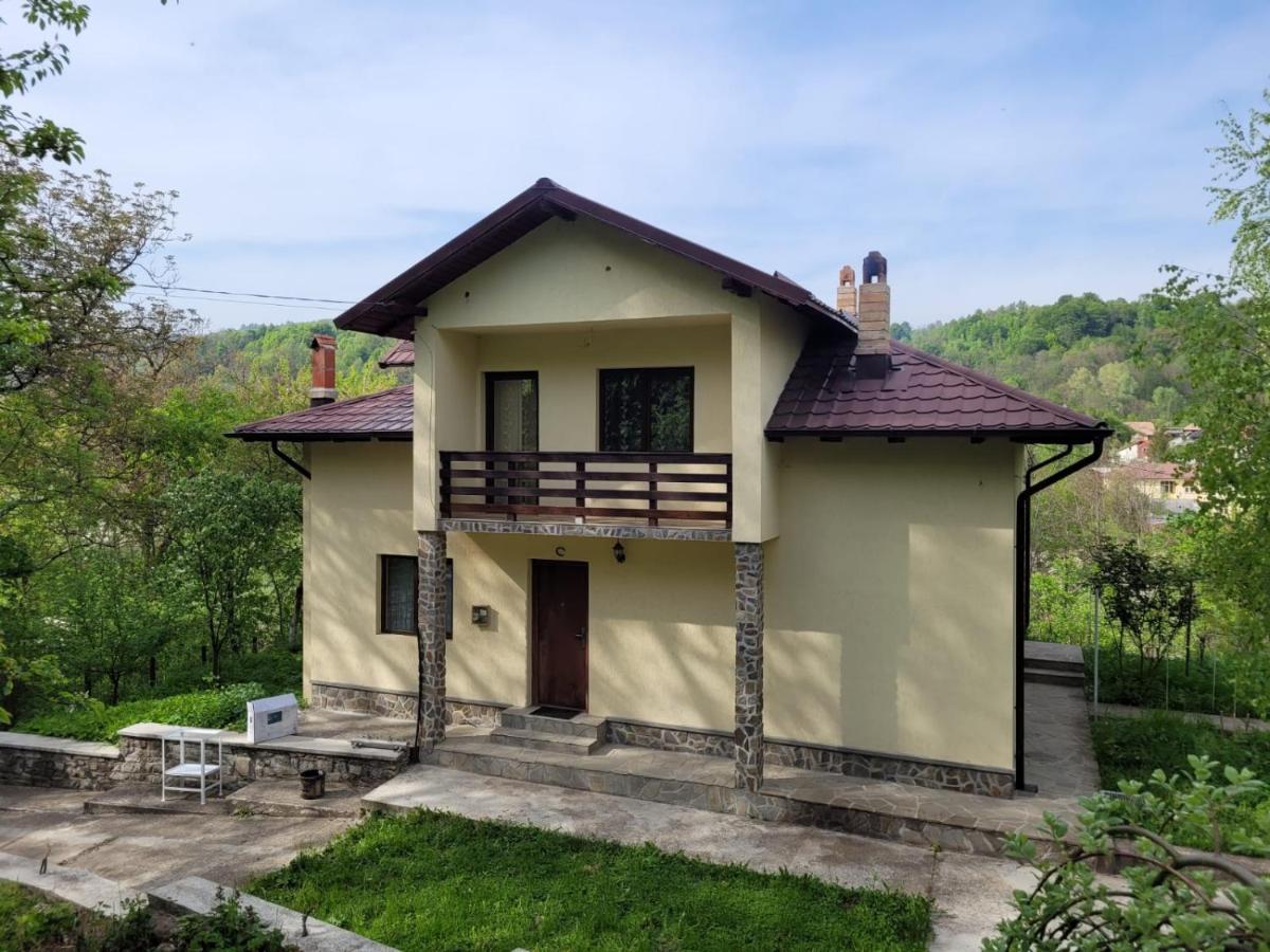 Вилла Casa Damian Bertea Экстерьер фото